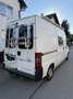 Fiat Ducato L2H2 2.5 TD, Wohnmobil, Autark, ohne Pickerl Weiß - thumbnail 5