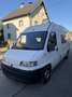 Fiat Ducato L2H2 2.5 TD, Wohnmobil, Autark, ohne Pickerl Weiß - thumbnail 3