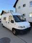 Fiat Ducato L2H2 2.5 TD, Wohnmobil, Autark, ohne Pickerl Weiß - thumbnail 2