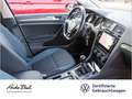 Volkswagen Golf Variant Golf VII Variant 1.0 TSI IQ.DRIVE, Navi, ParkAss Bleu - thumbnail 21