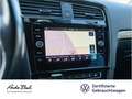 Volkswagen Golf Variant Golf VII Variant 1.0 TSI IQ.DRIVE, Navi, ParkAss Bleu - thumbnail 15