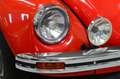 Volkswagen Käfer 1200 Rouge - thumbnail 4