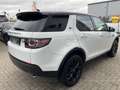 Land Rover Discovery Sport SE AWD*Navi*Spur*Pano*Leder Blanco - thumbnail 4
