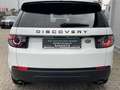 Land Rover Discovery Sport SE AWD*Navi*Spur*Pano*Leder Blanco - thumbnail 5