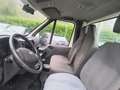Ford TRANSIT  CASSONE 2.4 DI Diesel 90 CV Bianco - thumbnail 12