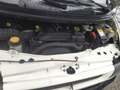 Ford TRANSIT  CASSONE 2.4 DI Diesel 90 CV Bianco - thumbnail 14
