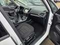 Ford Galaxy Business Automatik Navi LED 7 Sitzer Blanc - thumbnail 16