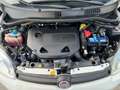 Fiat Panda benzina/metano revisionato LEGGERE LA DESCRIZIONE! - thumbnail 15