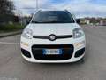 Fiat Panda benzina/metano revisionato LEGGERE LA DESCRIZIONE! - thumbnail 2
