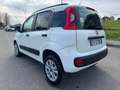 Fiat Panda benzina/metano revisionato LEGGERE LA DESCRIZIONE! - thumbnail 6
