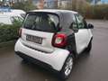 smart forTwo 1.0 Blanc - thumbnail 5