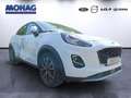 Ford Puma 1.0 EcoBoost Mild Hybrid EU6d Titanium Wit - thumbnail 2