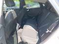 Ford Puma 1.0 EcoBoost Mild Hybrid EU6d Titanium Wit - thumbnail 11