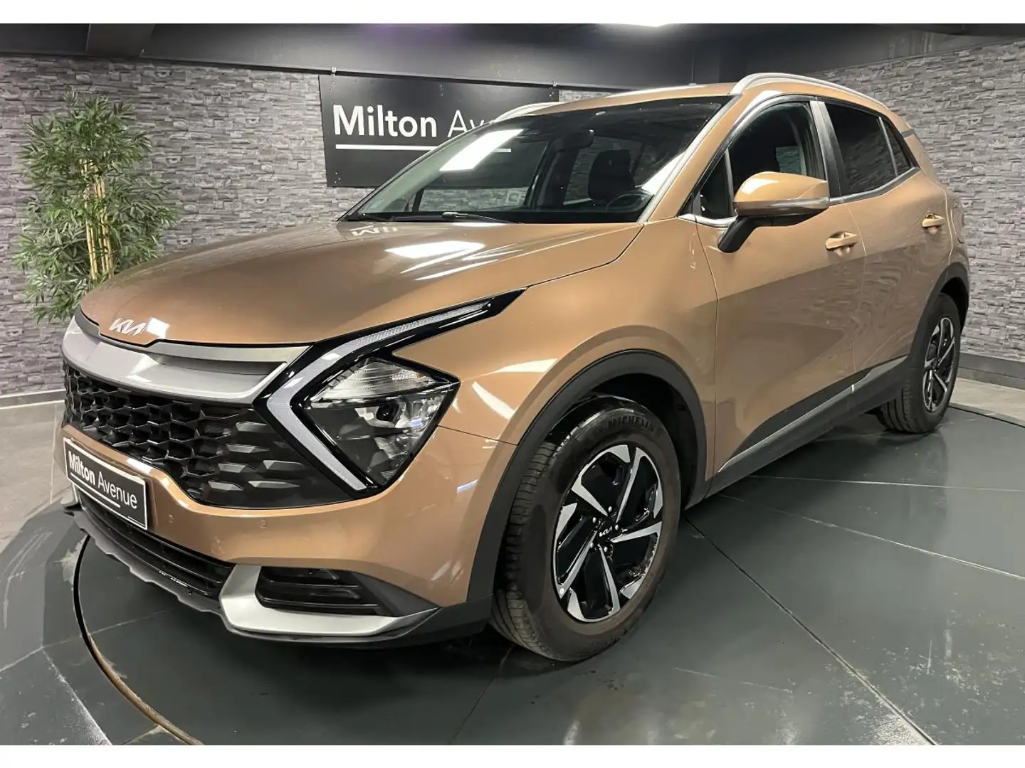 Kia Sportage Sportage 1.6 T-GDi MHEV - 150 - IBVM6 Motion Braun - 1
