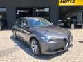 Alfa Romeo Stelvio Stelvio 2020 2.2 t Business rwd 160cv auto Grijs - thumbnail 1