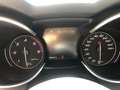 Alfa Romeo Stelvio Stelvio 2020 2.2 t Business rwd 160cv auto Grijs - thumbnail 6