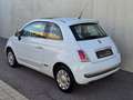 Fiat 500 Lounge *Panorama *PDC *Baby Blau Blau - thumbnail 5