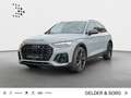 Audi SQ5 TDI qu. *Matrix*AHK*Business*Tour*Stadt*B&O* Grigio - thumbnail 1