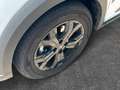 Dacia Jogger Extreme 7-SITZER+LED+SHZ+ALU+KAMERA+DA... Weiß - thumbnail 9