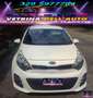 Kia Rio 1.2 CVVT 5p. Cool Weiß - thumbnail 7