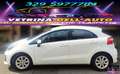 Kia Rio 1.2 CVVT 5p. Cool Weiß - thumbnail 6