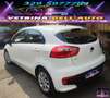 Kia Rio 1.2 CVVT 5p. Cool Weiß - thumbnail 5