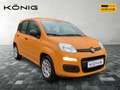 Fiat Panda Panda Hybrid 1.0 GSE Hybrid 1.0 GSE Orange - thumbnail 2