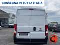 Fiat Ducato 35 2.3 MJT 140C-(PM-TM L2H2)SENSORI-FURGONE-E6 Bianco - thumbnail 6