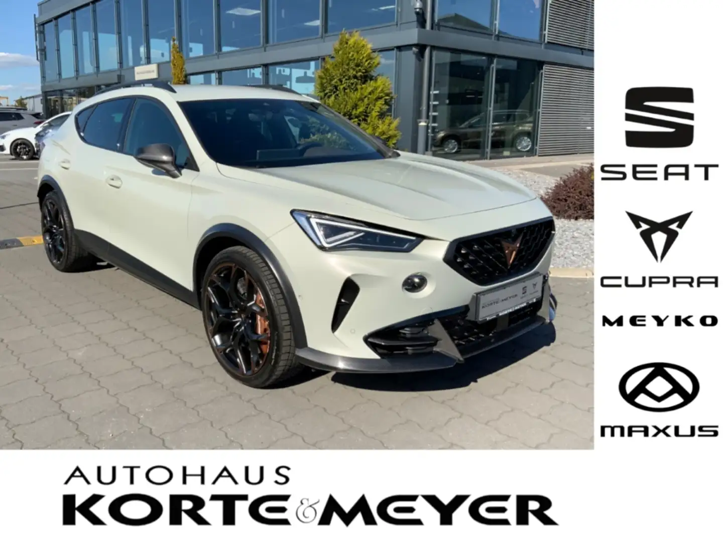 CUPRA Formentor VZ5 Edition Taiga Grey +360 Kamera+ Gris - 1