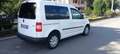 Volkswagen Caddy CINGHIA DISTRIB + PA + GOMME NUOVE - thumbnail 8