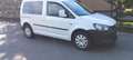 Volkswagen Caddy CINGHIA DISTRIB + PA + GOMME NUOVE - thumbnail 10