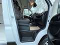 Fiat Ducato Grossr.-Kasten 35 140 L4H2 RS: 4035 mm Weiß - thumbnail 22