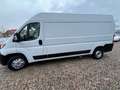 Fiat Ducato Grossr.-Kasten 35 140 L4H2 RS: 4035 mm Weiß - thumbnail 3