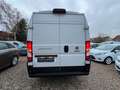 Fiat Ducato Grossr.-Kasten 35 140 L4H2 RS: 4035 mm Weiß - thumbnail 5