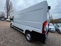 Fiat Ducato Grossr.-Kasten 35 140 L4H2 RS: 4035 mm Weiß - thumbnail 4