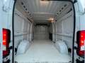 Fiat Ducato Grossr.-Kasten 35 140 L4H2 RS: 4035 mm Weiß - thumbnail 18