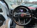 Fiat Ducato Grossr.-Kasten 35 140 L4H2 RS: 4035 mm Weiß - thumbnail 13