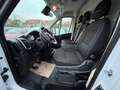 Fiat Ducato Grossr.-Kasten 35 140 L4H2 RS: 4035 mm Weiß - thumbnail 11