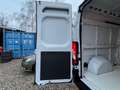 Fiat Ducato Grossr.-Kasten 35 140 L4H2 RS: 4035 mm Weiß - thumbnail 20