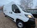 Fiat Ducato Grossr.-Kasten 35 140 L4H2 RS: 4035 mm Weiß - thumbnail 8