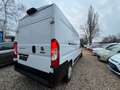 Fiat Ducato Grossr.-Kasten 35 140 L4H2 RS: 4035 mm Weiß - thumbnail 6