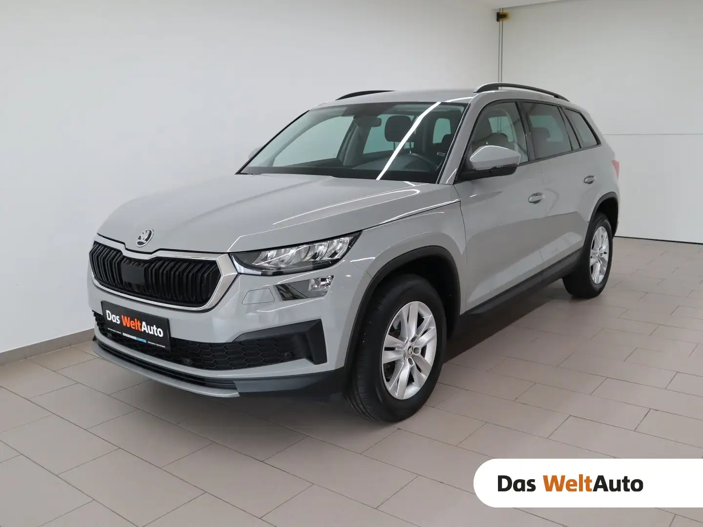 Skoda Kodiaq Ambition SC TDI DSG Grau - 1
