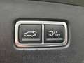 Kia Sorento Platinum 2.2D 2024 AWD 7-Sitzer Premium-Paket uvm. Grün - thumbnail 16