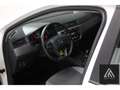 SEAT Ibiza 1.0 TSI STYLE | NAVI | CRUISE | AIRCO Blanc - thumbnail 4