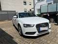 Audi A4 Avant S line Sportpaket / plus - TÜV NEU Weiß - thumbnail 3