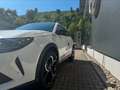Alfa Romeo Junior Ibrida 1.2MHEV Speciale+TECH-PAKET+MATRIX Blanc - thumbnail 5