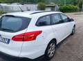 Ford Focus SW 1.5 tdci Business s&s 120cv Wit - thumbnail 4