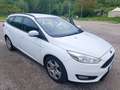 Ford Focus SW 1.5 tdci Business s&s 120cv Bianco - thumbnail 3