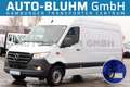 Mercedes-Benz Sprinter 317 Kasten L2H2 + 9G-Tronic 360°-Cam Weiß - thumbnail 1