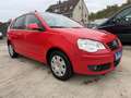 Volkswagen Polo United *TüvNEU/Garantie/Klima/SHZ* Rot - thumbnail 3